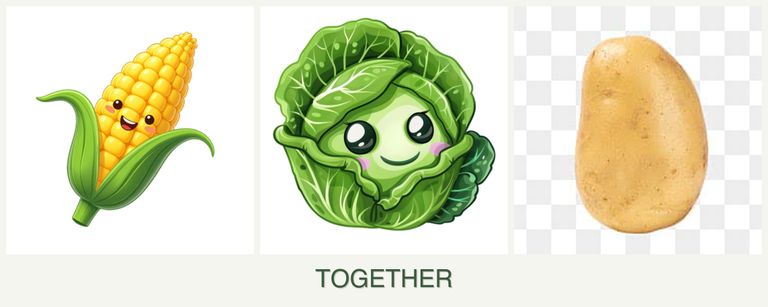 Can you plant corn, cabbage and potatoes together?