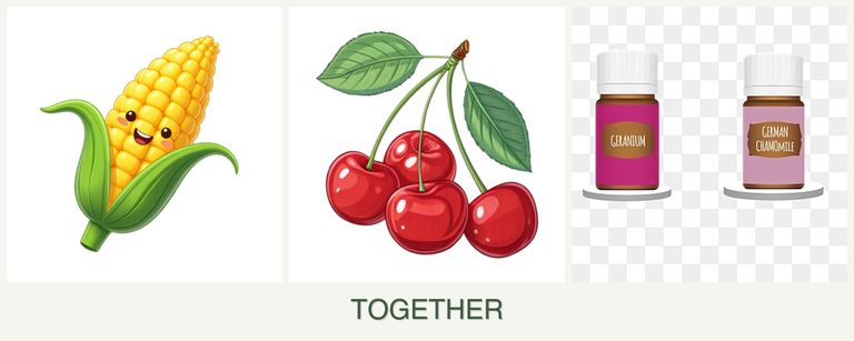 Can you plant corn, cherries and geraniums together?