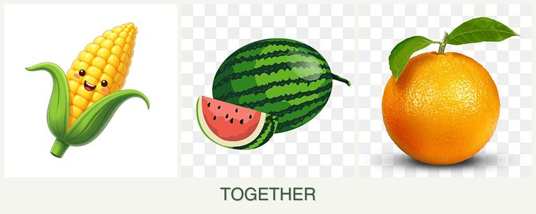 Can you plant corn, melons and oranges together?