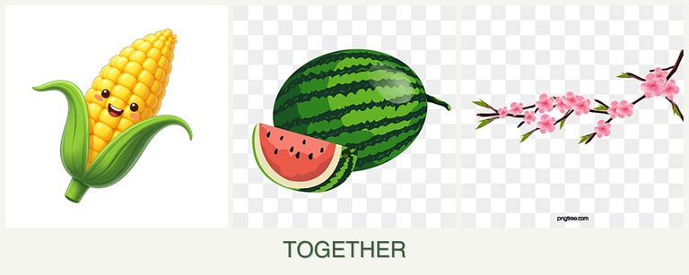 Can you plant corn, melons and peaches together?