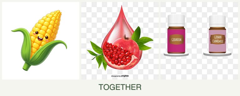Can you plant corn, pomegranates and geraniums together?