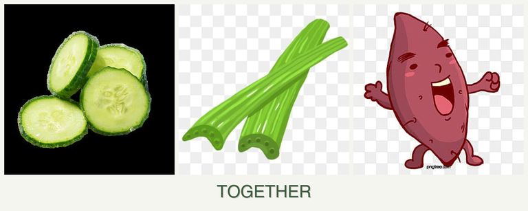 Can you plant cucumbers, celery and sweet potatoes together?