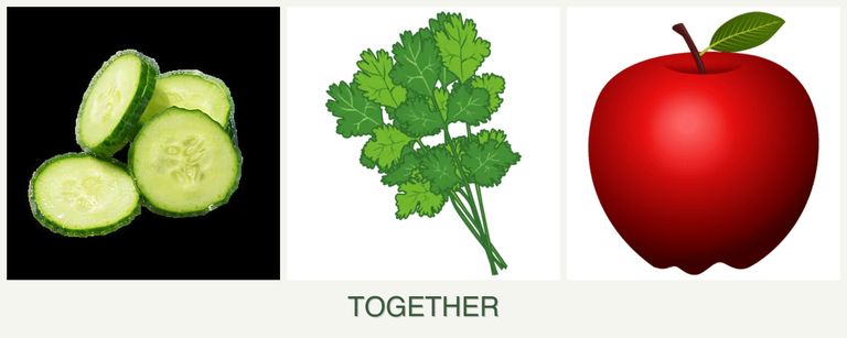 Can you plant cucumbers, cilantro and apples together?