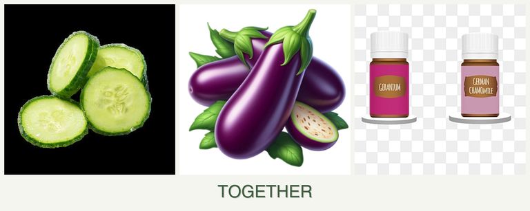 Can you plant cucumbers, eggplant and geraniums together?