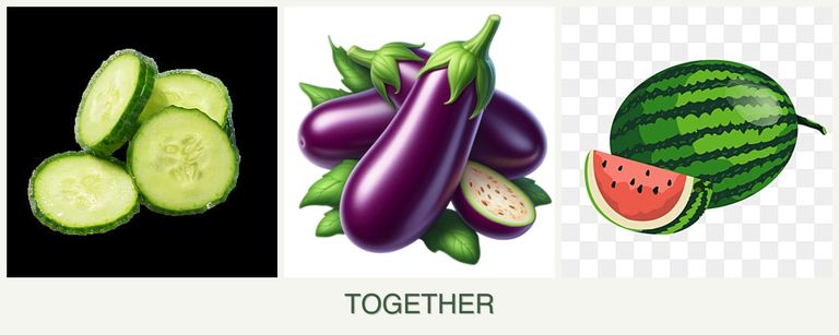 Can you plant cucumbers, eggplant and melons together?