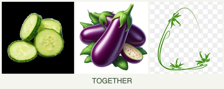 Can you plant cucumbers, eggplant and tarragon together?