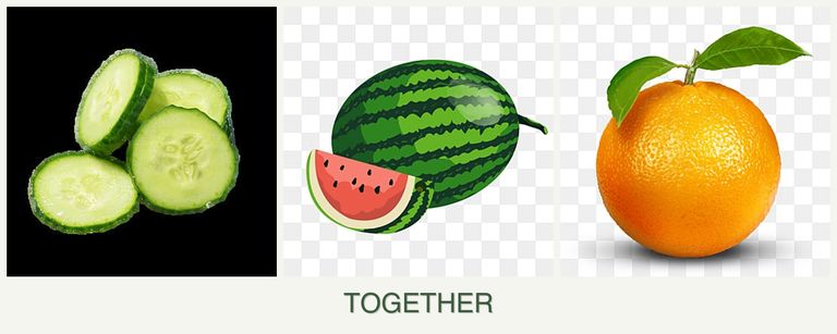 Can you plant cucumbers, melons and oranges together?