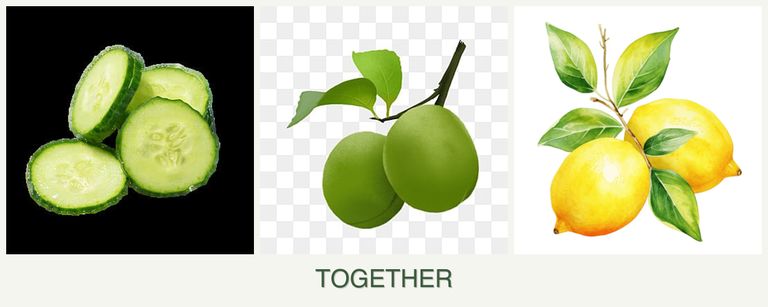 Can you plant cucumbers, plums and lemons together?