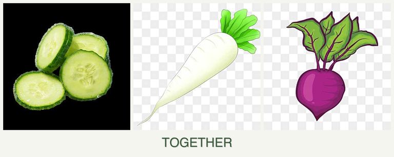 Can you plant cucumbers, radishes and beets together?