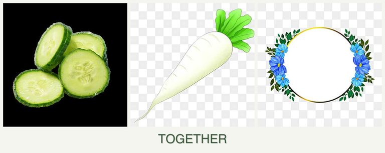 Can you plant cucumbers, radishes and zinnias together?