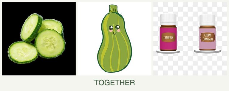 Can you plant cucumbers, zucchini and geraniums together?