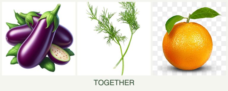 Can you plant eggplant, dill and oranges together?