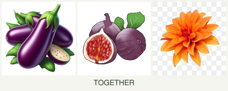 Can you plant eggplant, figs and dahlias together?