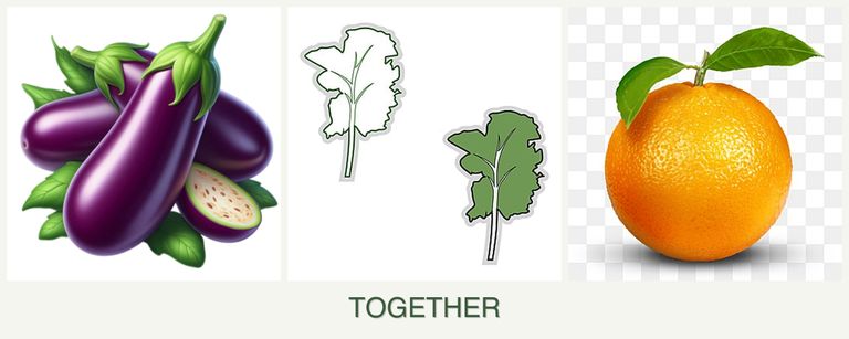 Can you plant eggplant, kale and oranges together?