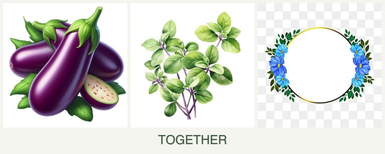Can you plant eggplant, oregano and zinnias together?