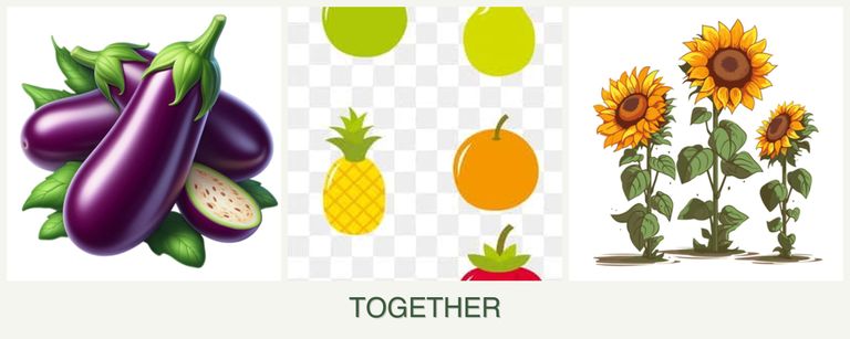Can you plant eggplant, pears and sunflowers together?
