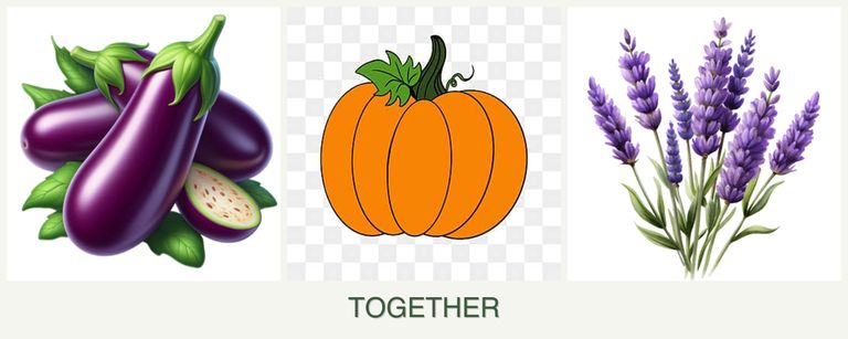 Can you plant eggplant, pumpkin and lavender together?