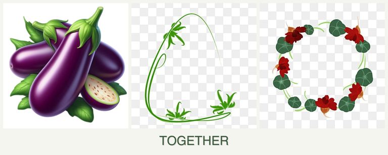 Can you plant eggplant, tarragon and nasturtiums together?