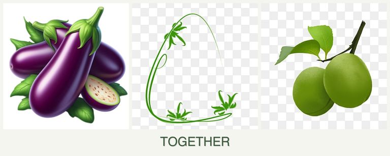 Can you plant eggplant, tarragon and plums together?