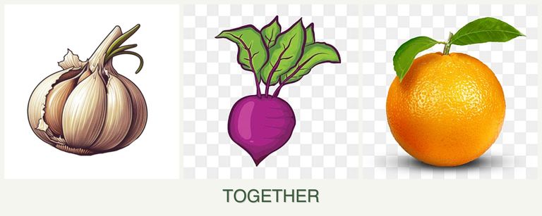Can you plant garlic, beets and oranges together?