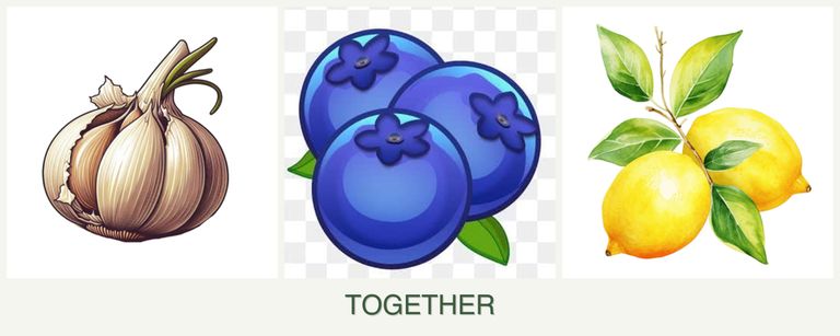 Can you plant garlic, blueberries and lemons together?