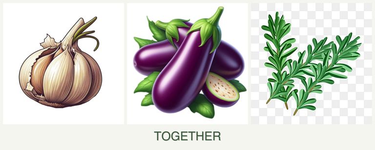 Can you plant garlic, eggplant and rosemary together?