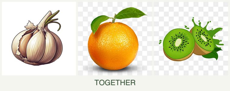 Can you plant garlic, oranges and kiwi together?