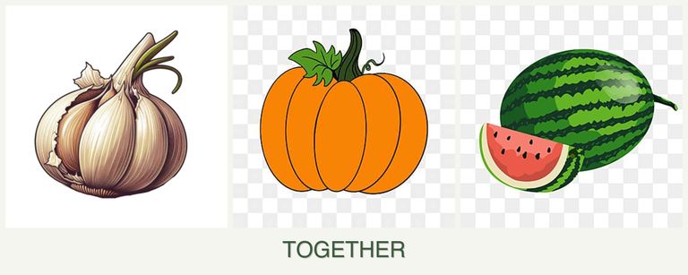 Can you plant garlic, pumpkin and melons together?