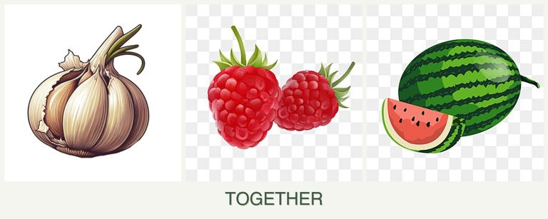 Can you plant garlic, raspberries and melons together?