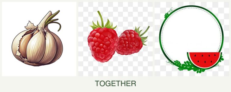 Can you plant garlic, raspberries and watermelons together?