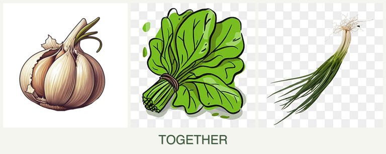 Can you plant garlic, spinach and chives together?