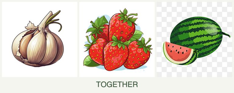 Can you plant garlic, strawberries and melons together?