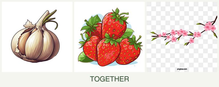 Can you plant garlic, strawberries and peaches together?