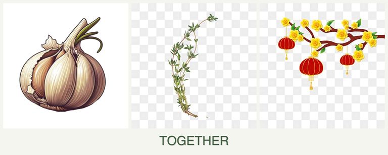 Can you plant garlic, thyme and apricots together?