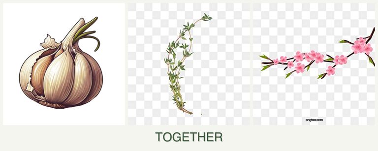 Can you plant garlic, thyme and peaches together?