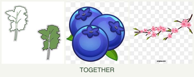 Can you plant kale, blueberries and peaches together?
