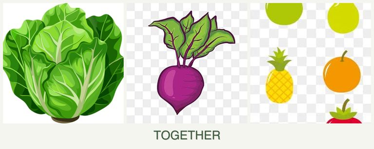 Can you plant lettuce, beets and pears together?