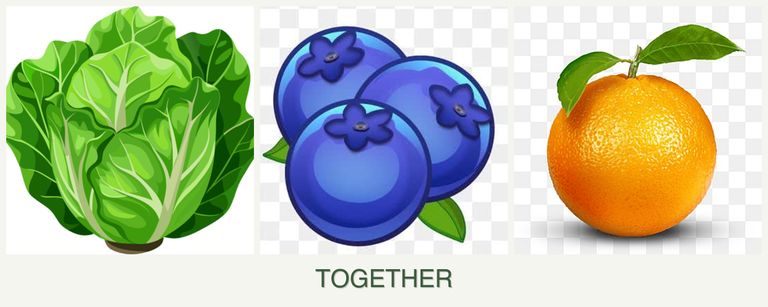 Can you plant lettuce, blueberries and oranges together?
