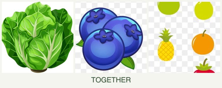 Can you plant lettuce, blueberries and pears together?