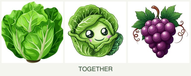 Can you plant lettuce, cabbage and grapes together?