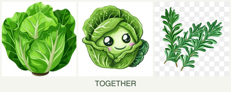 Can you plant lettuce, cabbage and rosemary together?