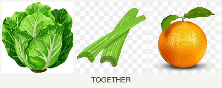 Can you plant lettuce, celery and oranges together?