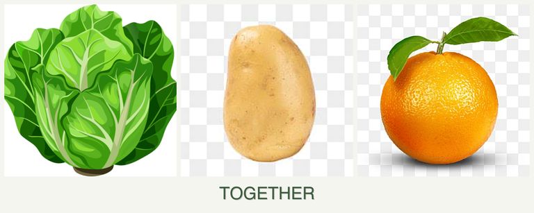 Can you plant lettuce, potatoes and oranges together?
