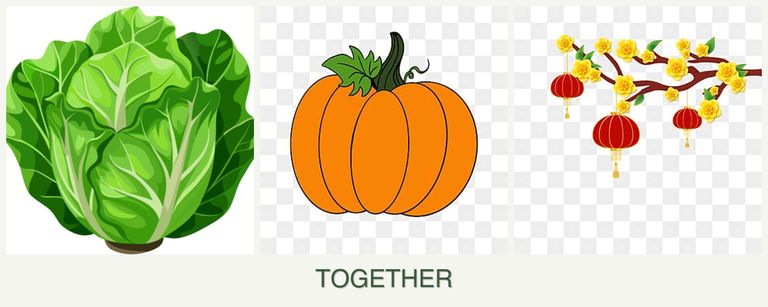 Can you plant lettuce, pumpkin and apricots together?