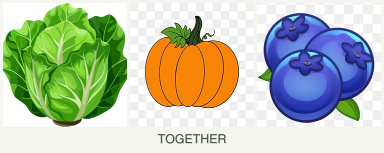 Can you plant lettuce, pumpkin and blueberries together?