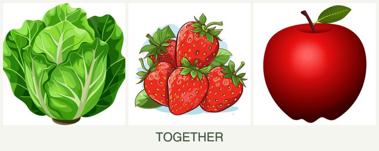 Can you plant lettuce, strawberries and apples together?