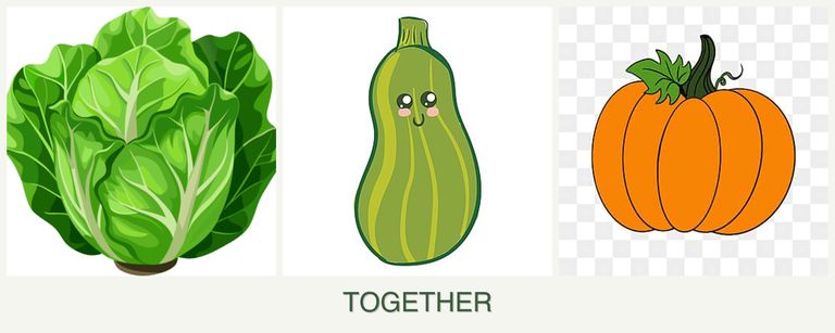 Can you plant lettuce, zucchini and pumpkin together?