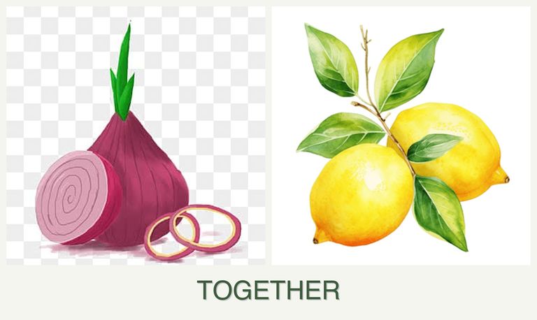Can you plant onions and lemons together?