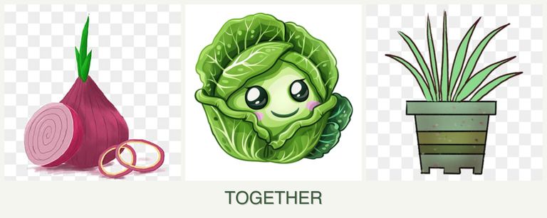 Can you plant onions, cabbage and lemongrass together?
