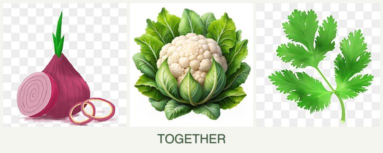 Can you plant onions, cauliflower and parsley together?